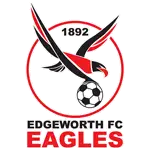 Edgeworth Eagles logo