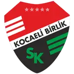 Körfez logo