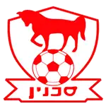 Sakhnin logo