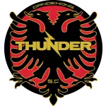 Dandenong Thunder logo