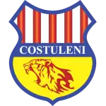 Costuleni logo