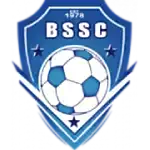 Blue Star logo