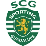 Guadalupe logo