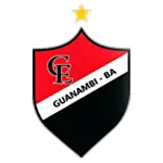 Clube Esportivo Flamengo logo