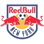 New York logo