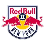 New York logo