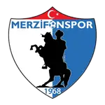 Merzifonspor logo