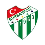 Bursaspor U19 logo