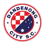 Dandenong City logo