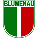 Blumenau logo