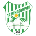 12 Bingölspor logo