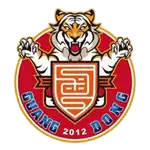 Guangdong Southern Tigers FC logo