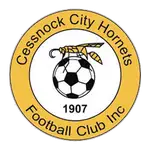 Cessnock City logo