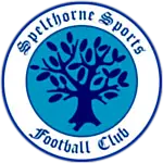 Spelthorne logo