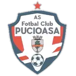 Pucioasa logo