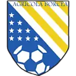 FC Agricola Borcea logo