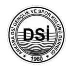 Ankara DSİ Spor Kulübü logo