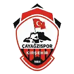 Kırşehir Çayağzı Spor logo