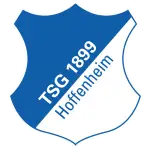 Hoffenheim B logo