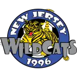 PSA Wildcats logo