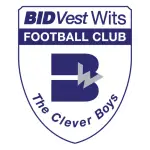 BV Wits logo