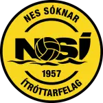 NSÍ II logo