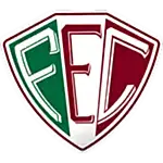 Fluminense PI logo