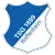 Hoffenheim U19 logo