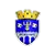 Edineţ logo