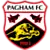 Pagham logo