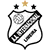 Inter Limeira U19 logo