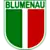 Blumenau logo