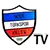 Türkspor Kiel logo