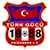 Türk Friedberg logo