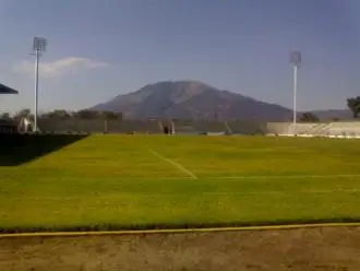 Estadio Las Flores