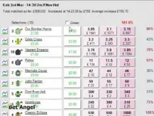 Bet Angel - Trading profit calculator