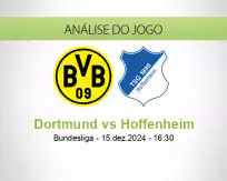 Prognóstico Dortmund Hoffenheim (15 December 2024)