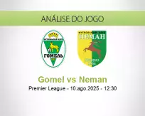 Prognóstico Gomel Neman (10 August 2025)
