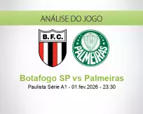 Prognóstico Botafogo SP Palmeiras (02 February 2026)